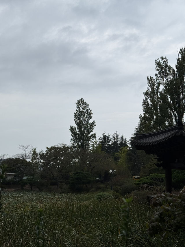 운치있는 경주의 숨은 보물 보문정