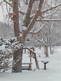 The Most Memorable Place in Hokkaido