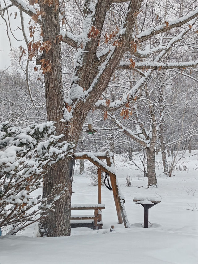 The Most Memorable Place in Hokkaido