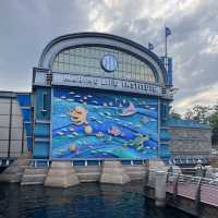 Time travel back to Childhood: Magical Day at Tokyo DisneySea