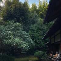 #竹林山松月院：在竹林深處尋找禪意的樂趣！🎍🧘‍♂️
