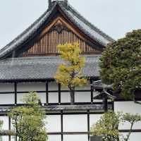 深田氏庭園：庭園靜謐🍃🌸