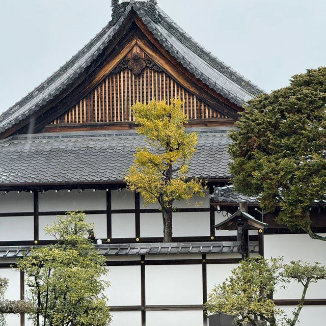 深田氏庭園：庭園靜謐🍃🌸