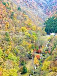 【奥秩父】絶景紅葉🍁 穴場スポット
