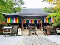  【高知】夢窓疎石作庭のお庭！五台山 竹林寺