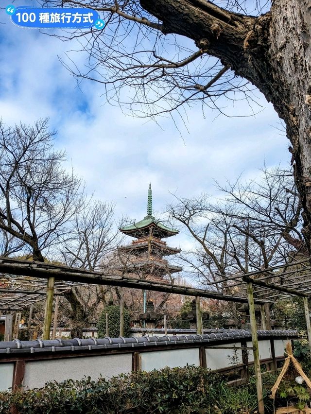 東京賞牡丹花的好去處-上野東照宮牡丹苑
