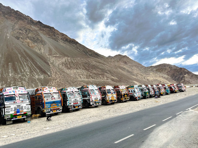 วิวข้างทาง Leh Ladakh🌳🐫