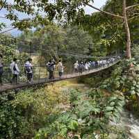 Elephant Encounters and Jungle Fun: My Day at Kenyir Elephant Conservation Village!
