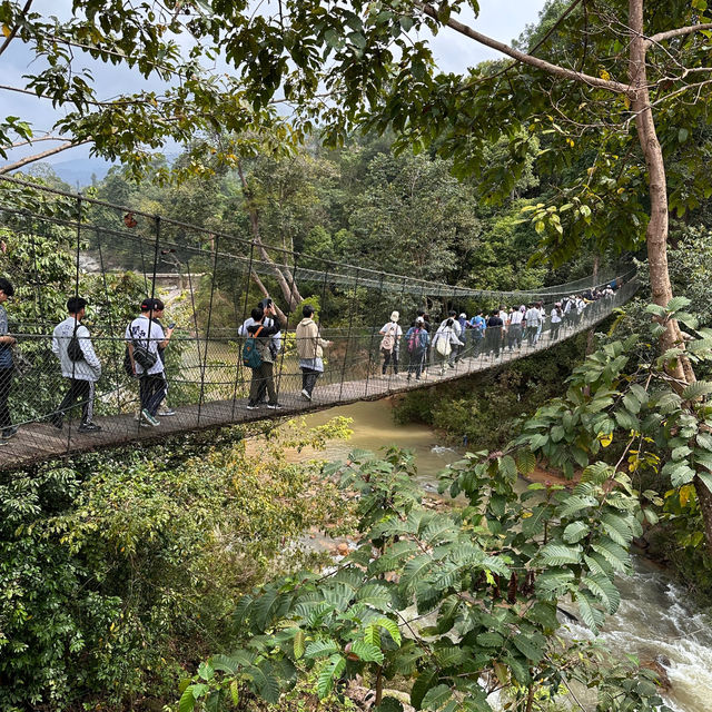 Elephant Encounters and Jungle Fun: My Day at Kenyir Elephant Conservation Village!
