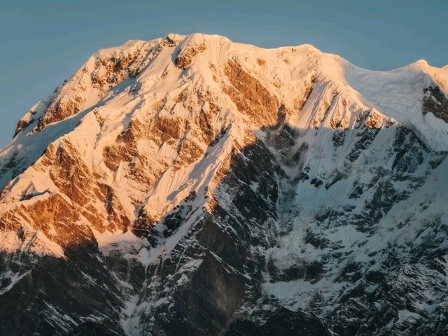 Mardi Himal Trek