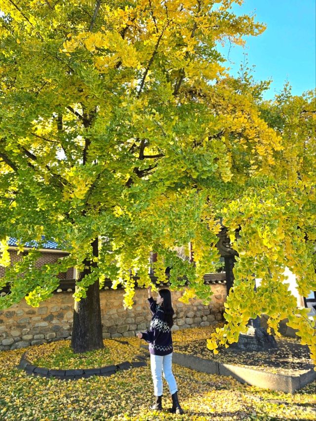 조금은 특별한 거창 시크릿 은행스팟💛