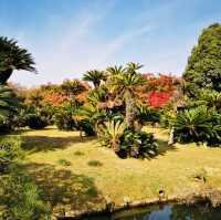 Autumn Magic: A Colorful Escape at Okayama Korakuen Garden!