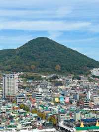 바다를 한 눈에 담을 수 있는 공원