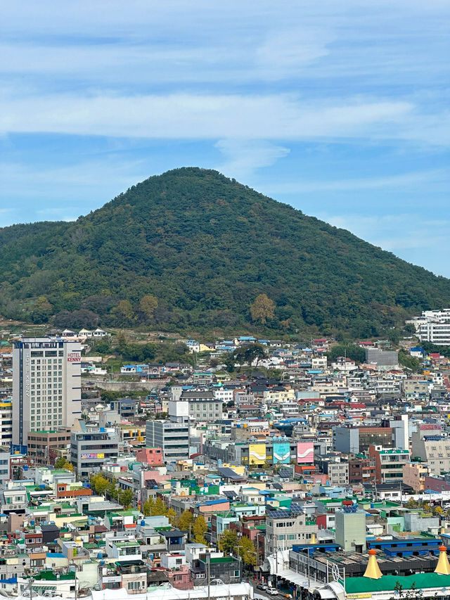 바다를 한 눈에 담을 수 있는 공원