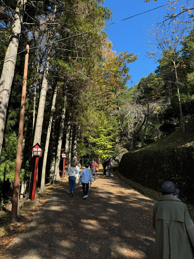 日本🇯🇵 ｜新倉山淺間公園｜眺望富士山風景