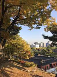 🇰🇷首爾紅葉 🍁市中心也有這麼漂亮的地方？🍂來這裡就夠！