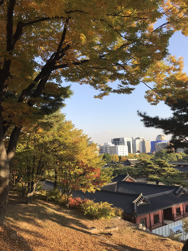 🇰🇷首爾紅葉 🍁市中心也有這麼漂亮的地方？🍂來這裡就夠！