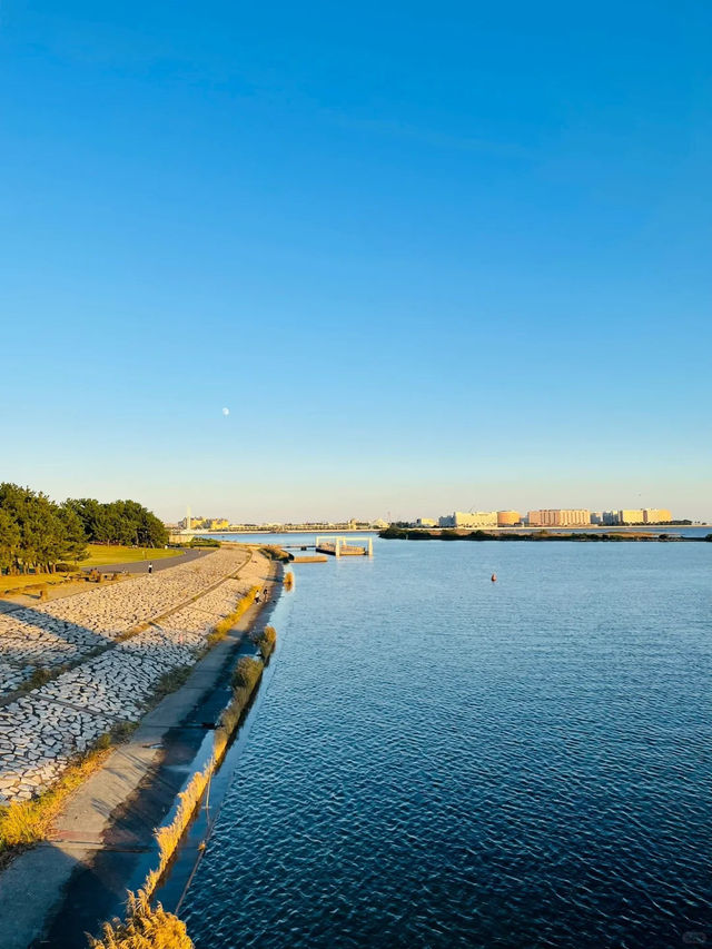 景點推薦：葛西臨海公園——東京灣的海濱樂園