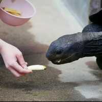 【各務原市】世界淡水魚園水族館 アクア・トト ぎふ