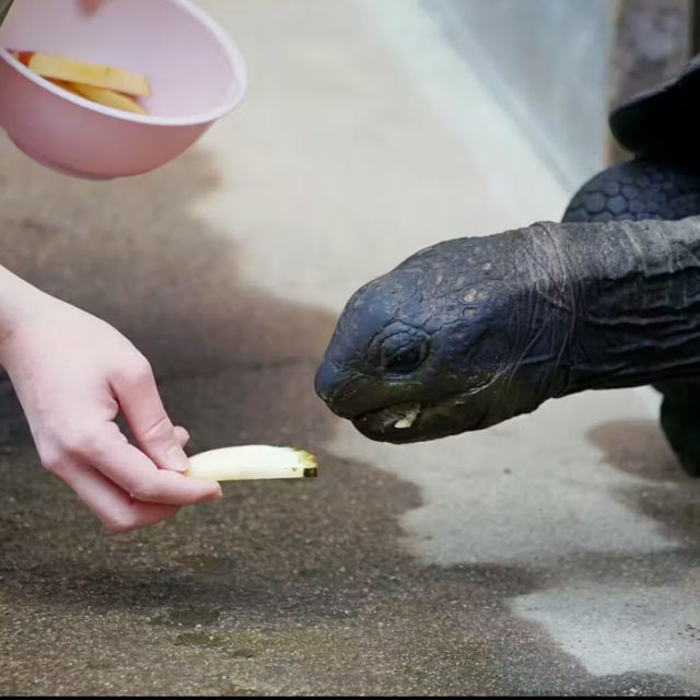 【各務原市】世界淡水魚園水族館 アクア・トト ぎふ