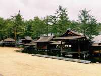 【山梨×身曾岐神社】池に浮かぶ厳かな絶景神社