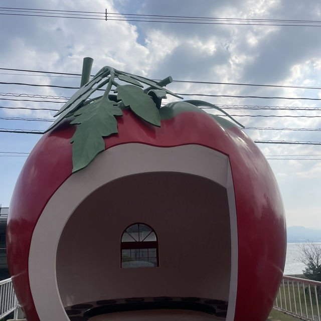 フルーツバス停通り🍓🍊🍉🍈