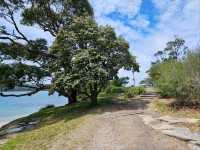 Balmoral Beach: A Family-Friendly Coastal Gem