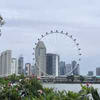 Explore the beauty of Flowers Dome of Singapore Garden by the bay