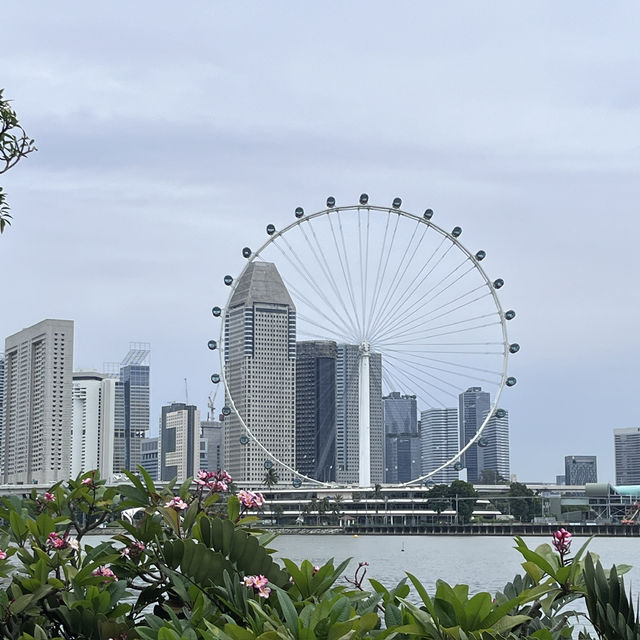 Explore the beauty of Flowers Dome of Singapore Garden by the bay