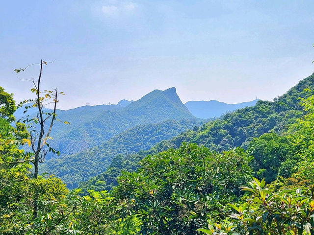 【冷門遠足路線~畢架山📡】