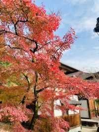 虎溪山永保寺-日式庭園寺廟配搭絕美紅葉，讓人看得如痴如醉