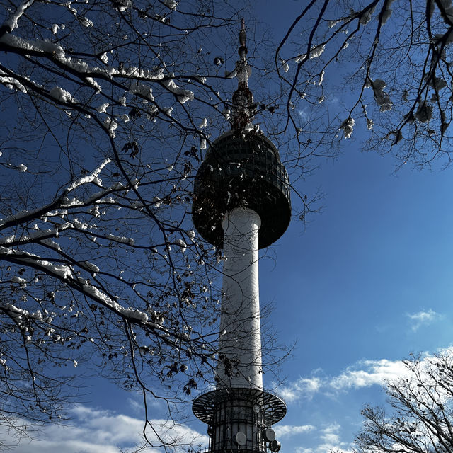 A White Wonderland: N Seoul Tower in the Snow