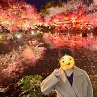 怎能抗拒「東寺夜楓」的倒影😍