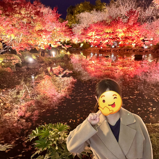 怎能抗拒「東寺夜楓」的倒影😍