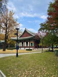 사계절 다 다른 매력을 가지고 있는 대구 대표 공원🌳