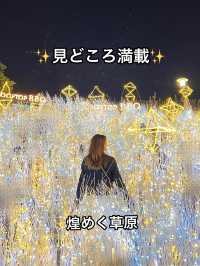 大阪 ❤︎ クリスマスに行きたいイルミネーション🌟 無料で遊べる光空間 ✨