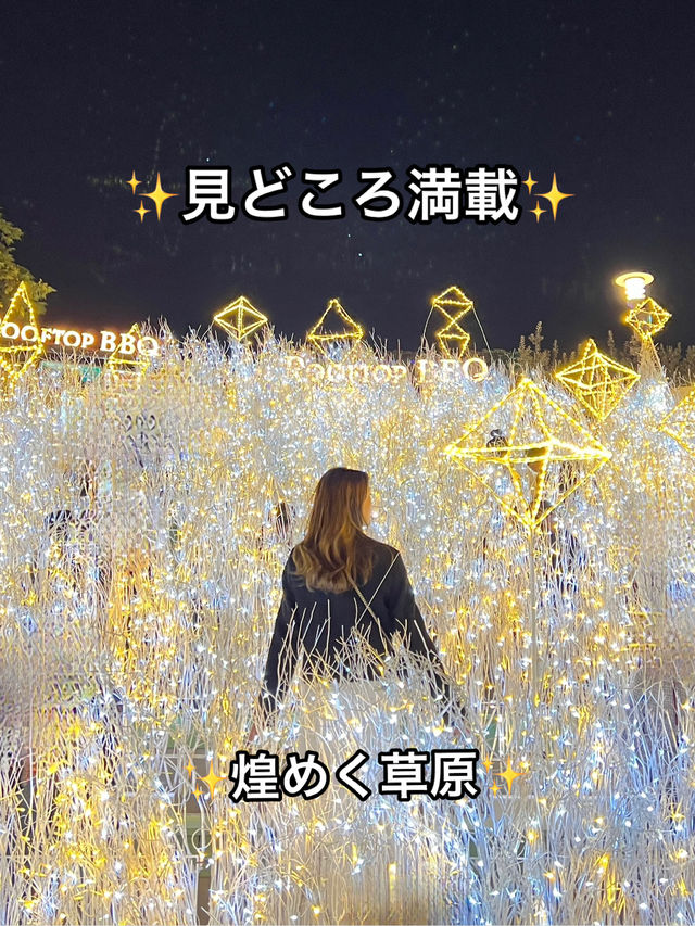 大阪 ❤︎ クリスマスに行きたいイルミネーション🌟 無料で遊べる光空間 ✨