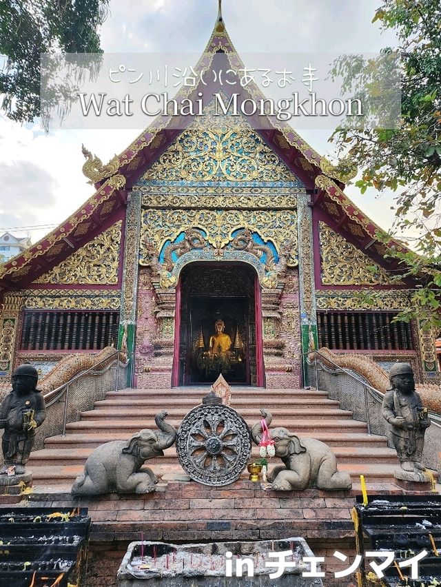 【チェンマイ】ピン川沿いにあるお寺 Wat Chai Mongkhon
