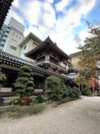 木造坐像で日本一大きい福岡大仏	