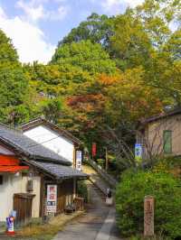 📍 【奈良】吉野山で歴史と自然を満喫