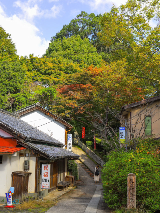 📍 【奈良】吉野山で歴史と自然を満喫