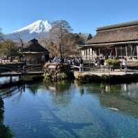 Serene Oasis at Oshino Hakkai!