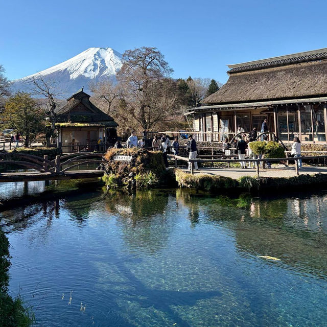Serene Oasis at Oshino Hakkai!