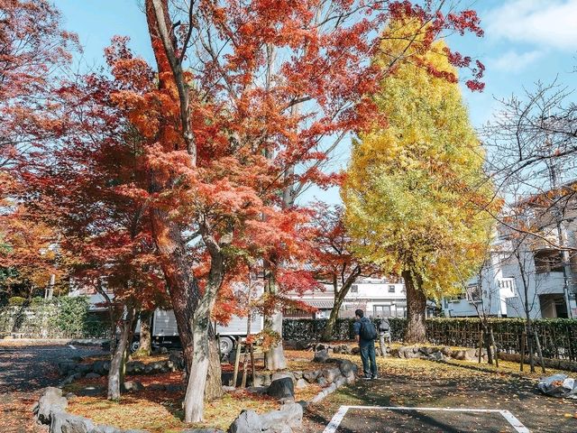 วัดไดโทกุจิ (Daitokuji Temple)