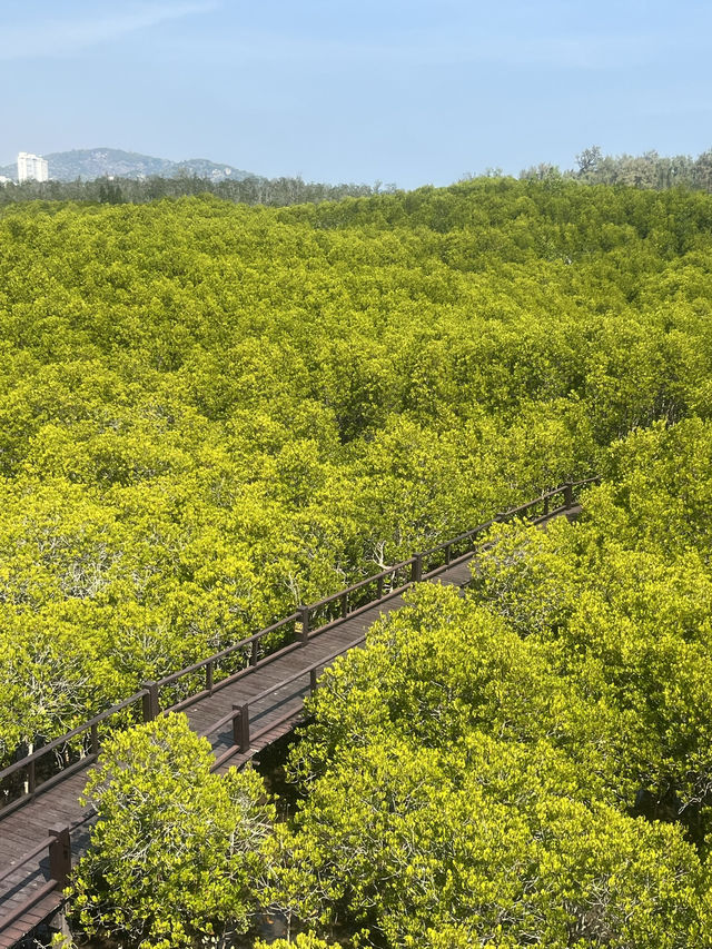 Pranburi forest park