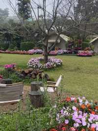 🎄22 Aquarius Glamping Cafe คาเฟ่บนดอยอินทนนท์