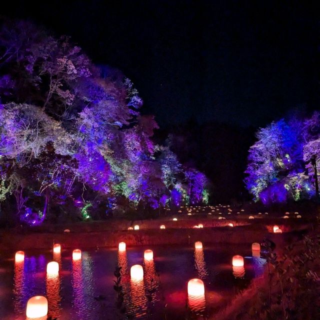 【チームラボ】茨城県北茨城市　幽谷陰田跡
