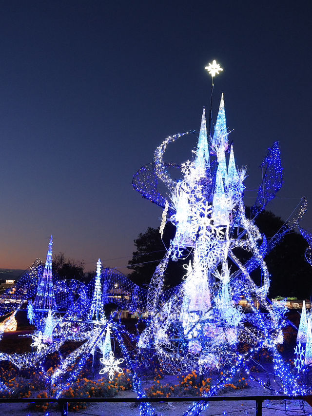 📍 【埼玉】アナ雪の世界に舞い込んだ𝗂𝗅𝗅𝗎𝗆𝗂𝗇𝖺𝗍𝗂𝗈𝗇
