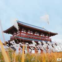 Heijo Palace