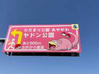 【ヤドン公園】